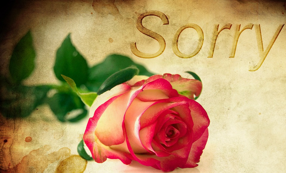 Best 30 Romantic Apology Messages For Your Love