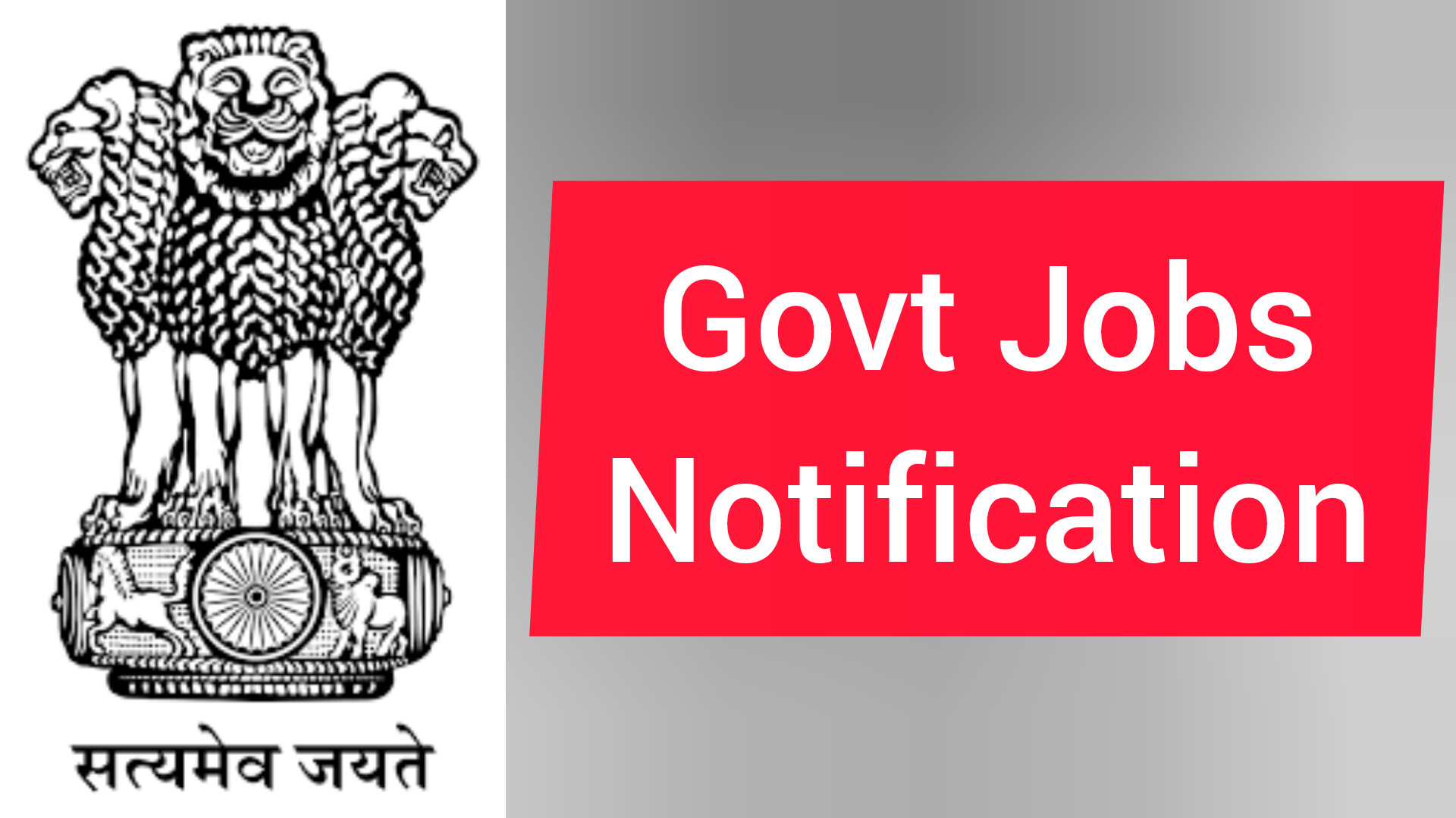 Government Job Vacancy After 12th : Your Path to a Successful Career in Public Service